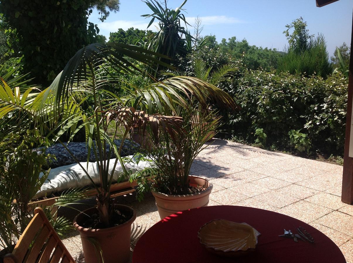 La Coccinelle Aparthotel Île du Levant Kültér fotó